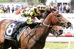 Laing has 4 nominations for Sandown Guineas Laing has 4 nominations for Sandown Guineas