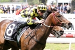 Laing has 4 nominations for Sandown Guineas