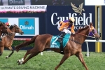 Our Boy Malachi Records Outstanding Caulfield Sprint Win