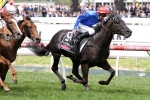 Drop in grade will help Peacock’s chances in Autumn Stakes Drop in grade will help Peacock’s chances in Autumn Stakes