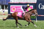 Vanbrugh suited by 1800m of Kingston Town Classic Vanbrugh suited by 1800m of Kingston Town Classic