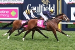 Vanbrugh back in the winner’s stall in Coogny Cup Vanbrugh back in the winner’s stall in Coogny Cup