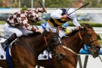 Melbourne Cup field: Ruscello unlikely runner even if wins Lexus Melbourne Cup field: Ruscello unlikely runner even if wins Lexus