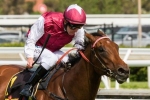 Guelph Set To Be Retired Guelph Set To Be Retired