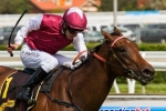 MRC Announces Significant Changes To Caulfield Cup Carnival MRC Announces Significant Changes To Caulfield Cup Carnival