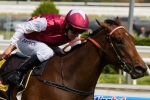 No Cox Plate For Guelph No Cox Plate For Guelph
