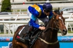 Baker Admits Fiorente Will Be Tough To Beat In Ranvet Stakes