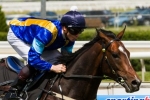 2013 Cox Plate Odds: It’s A Dundeel continues to ease