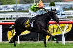 Commanding Jewel Included In Cockram Stakes Nominations