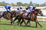 Dawnie Perfect To Crown Oaks After Ethereal Stakes Win