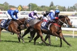 Dawnie Perfect To Crown Oaks After Ethereal Stakes Win Dawnie Perfect To Crown Oaks After Ethereal Stakes Win