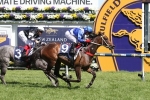 Dawnie Perfect bred to win the Queensland Oaks