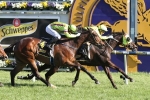 Solicit’s Myer Classic Odds Lengthen