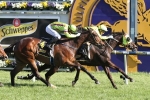 Solicit’s Myer Classic Odds Lengthen Solicit’s Myer Classic Odds Lengthen