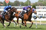 Mahuta Leads From Start To Finish In Gothic Stakes Mahuta Leads From Start To Finish In Gothic Stakes