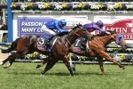 2015 Caulfield Cup Day Results: Mongolian Khan wins the Caulfield Cup