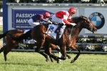 2015 Caulfield Cup winner Mongolian Khan retired