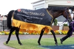 Admire Rakti New Melbourne Cup Favourite Admire Rakti New Melbourne Cup Favourite