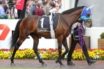 Melbourne Cup favourite Admire Rakti weighted to win
