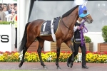 2014 Melbourne Cup Draw a Success for Admire Rakti