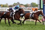 2015 Caulfield Cup All Day Tips: The Runners To Follow