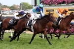 2014 Melbourne Cup odds: Favourite Admire Rakti to be suited at Flemington