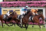 Fame Game’s Caulfield Cup Tactics Still Up In The Air Fame Game’s Caulfield Cup Tactics Still Up In The Air