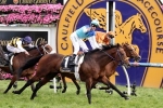 Bande out of 2014 Melbourne Cup