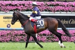 Melbourne Cup chance Araldo to miss Derby Day