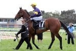 Caulfield Cup is Spring goal for Big Memory