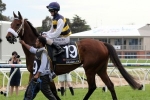 Melbourne Cup Tune-Up For Brambles In Mackinnon Stakes