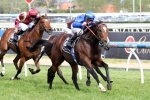 Emirates Stakes 2014: Mile To Suit Contributer