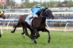 Fontein Ruby And Politeness Impress In Barrier Trial Fontein Ruby And Politeness Impress In Barrier Trial