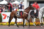 Williams Trio In Sandown Cup Nominations