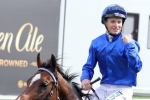 Godolphin Chasing Light-Weight Stable Jockey