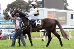 Lady Le Fay can give Waller back to back Ballarat Cup wins