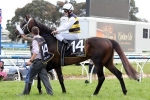 Lady Le Fay can give Waller back to back Ballarat Cup wins Lady Le Fay can give Waller back to back Ballarat Cup wins