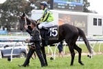 Lucia Valentina Over The Odds In Caulfield Cup Betting