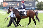 Sea Moon Working Towards Racing Return Sea Moon Working Towards Racing Return