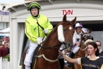 Distance Success a Key Melbourne Cup Form Indicator for Seismos Distance Success a Key Melbourne Cup Form Indicator for Seismos