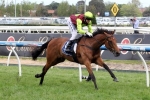 120 Included in 2015 Australian Oaks Nominations 120 Included in 2015 Australian Oaks Nominations