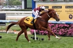 Fire won’t disrupt Sandown Guineas Day Fire won’t disrupt Sandown Guineas Day