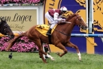 Stratum Star among nominations for Glasshouse Handicap