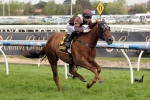 Capacity 2014 Myer Classic Field Released Capacity 2014 Myer Classic Field Released