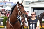 Sydney Cup 2015: Waller Not Happy With Who Shot Thebarman Jockey Change