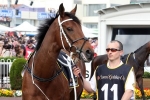 Sydney Cup 2015: Waller Not Happy With Who Shot Thebarman Jockey Change Sydney Cup 2015: Waller Not Happy With Who Shot Thebarman Jockey Change