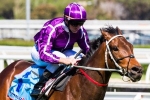 Don’t drop off Boban for Doomben 10,000: Waller Don’t drop off Boban for Doomben 10,000: Waller
