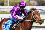 2013 Champion Boban Highlights Epsom Handicap Nominations