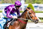 Nine-Horse Contingent for Waller in Chipping Norton Stakes Nominations Nine-Horse Contingent for Waller in Chipping Norton Stakes Nominations