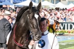 Dandino Fares Poorly In Caulfield Cup Barrier Draw